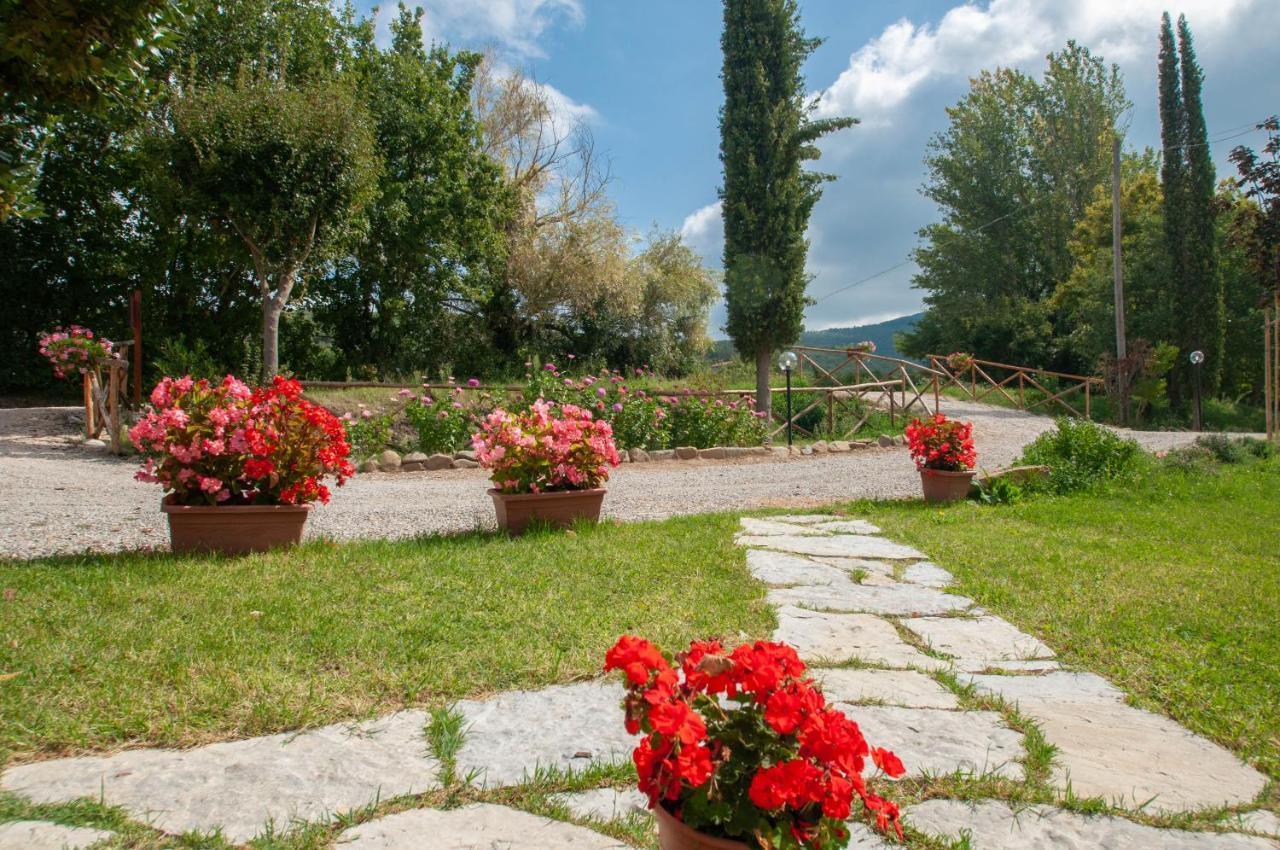 La Casa Di Nunzi Cortona